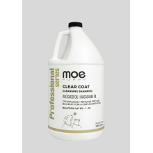 Professional Clear Coat Shampoo