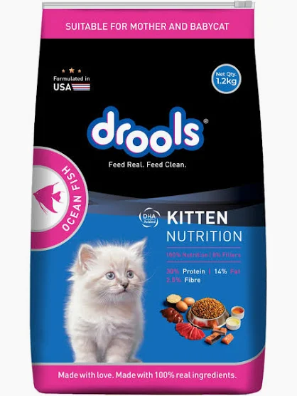 Cats